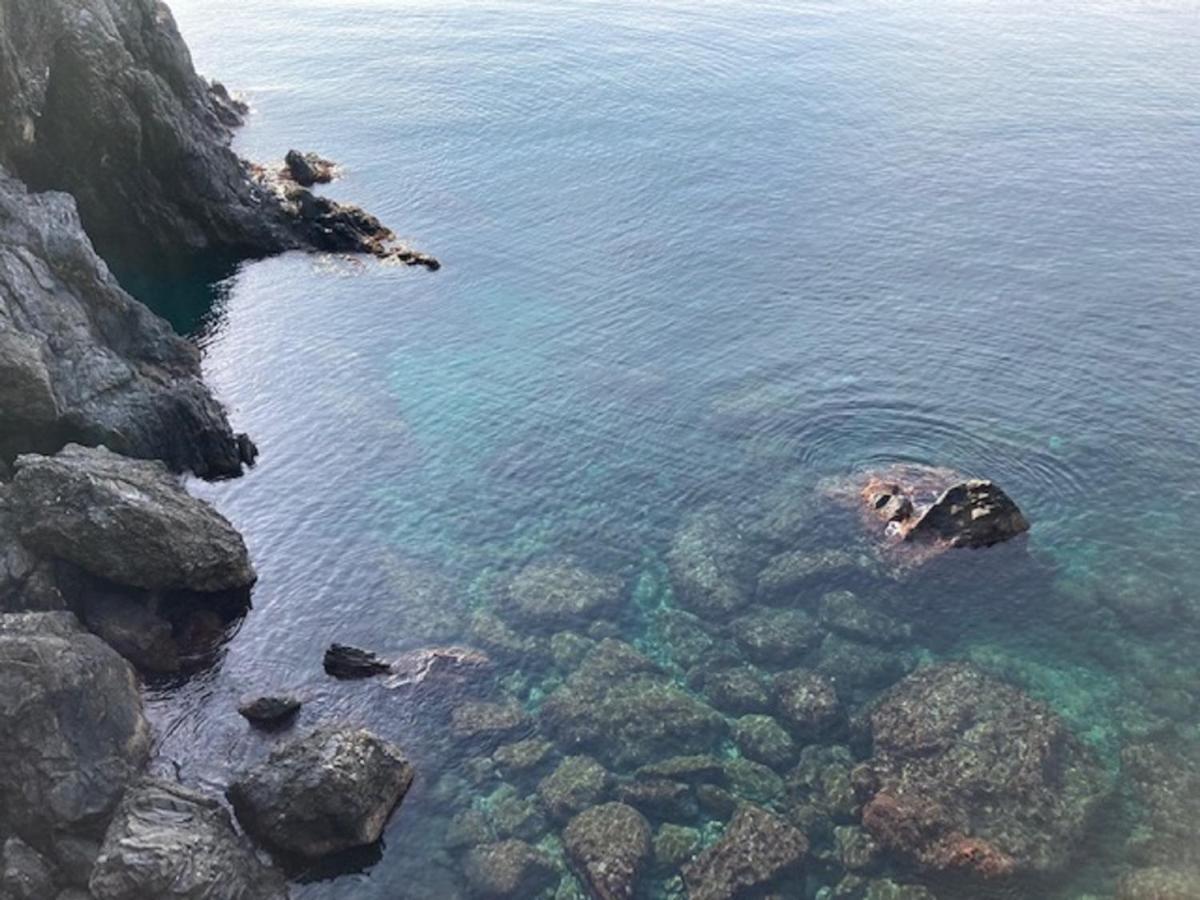 Appartement La Gemma Di Monterosso, In Centro Vicino Al Mare à Monterosso al Mare Extérieur photo